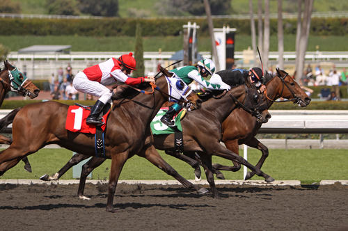 Belmont Stakes Makes Horse Racing History with Help from Social Studio